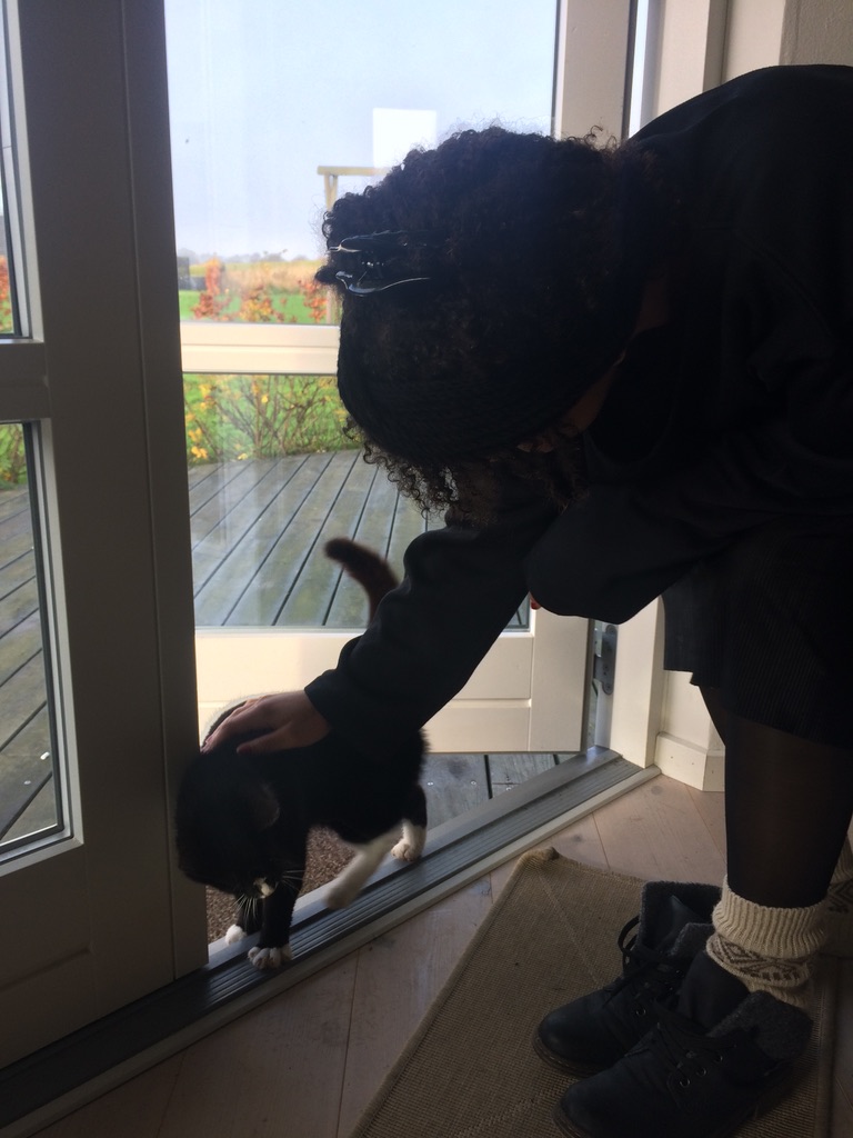 UNADJUSTEDNONRAW_thumb_923